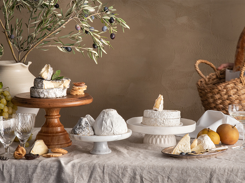 Beyaz Küflü Peynirlerin Büyülü Dünyası: Dokusu ve Kokusunun Ardındaki Sır Perdesi